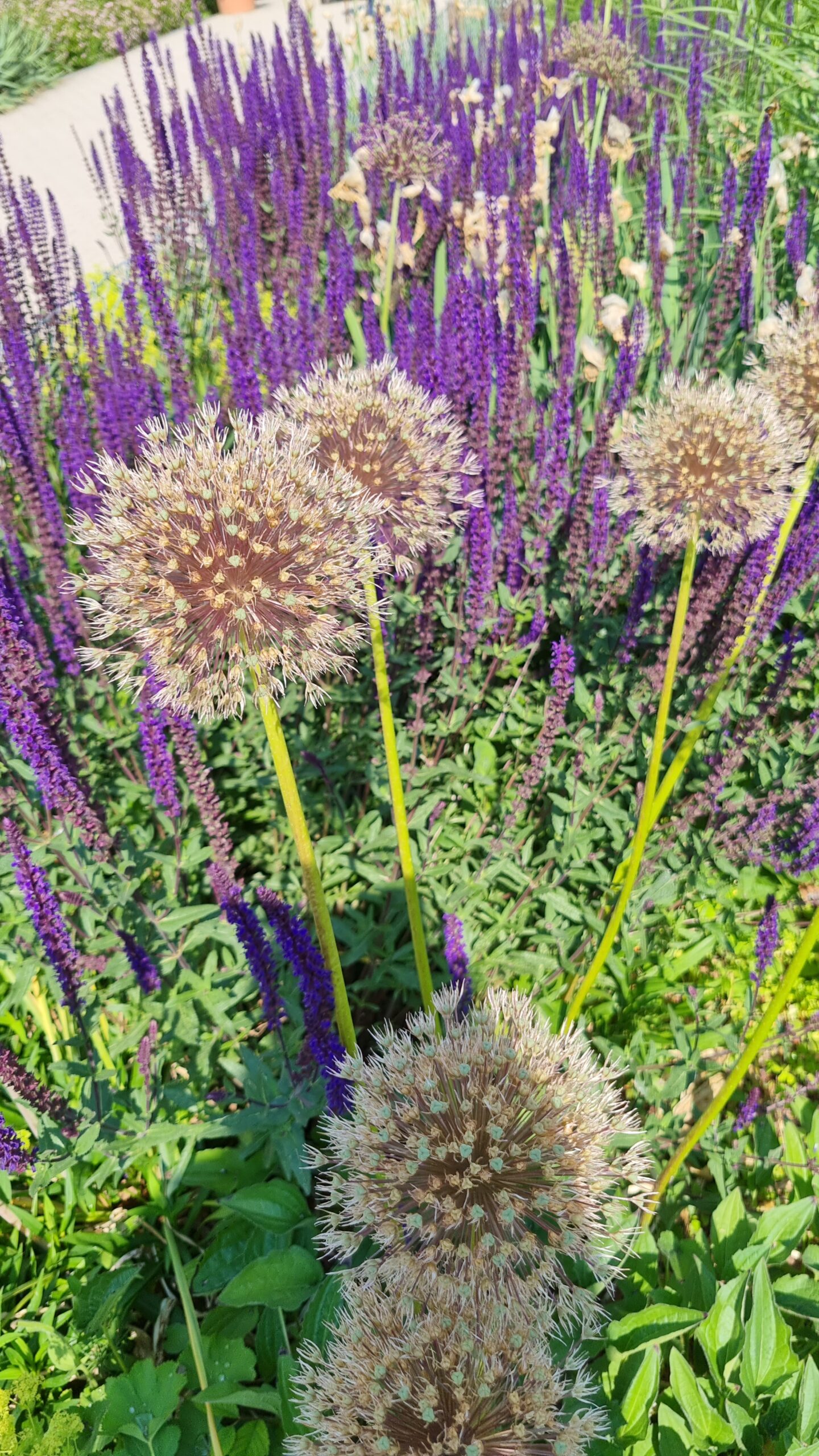 Blog – Blumen