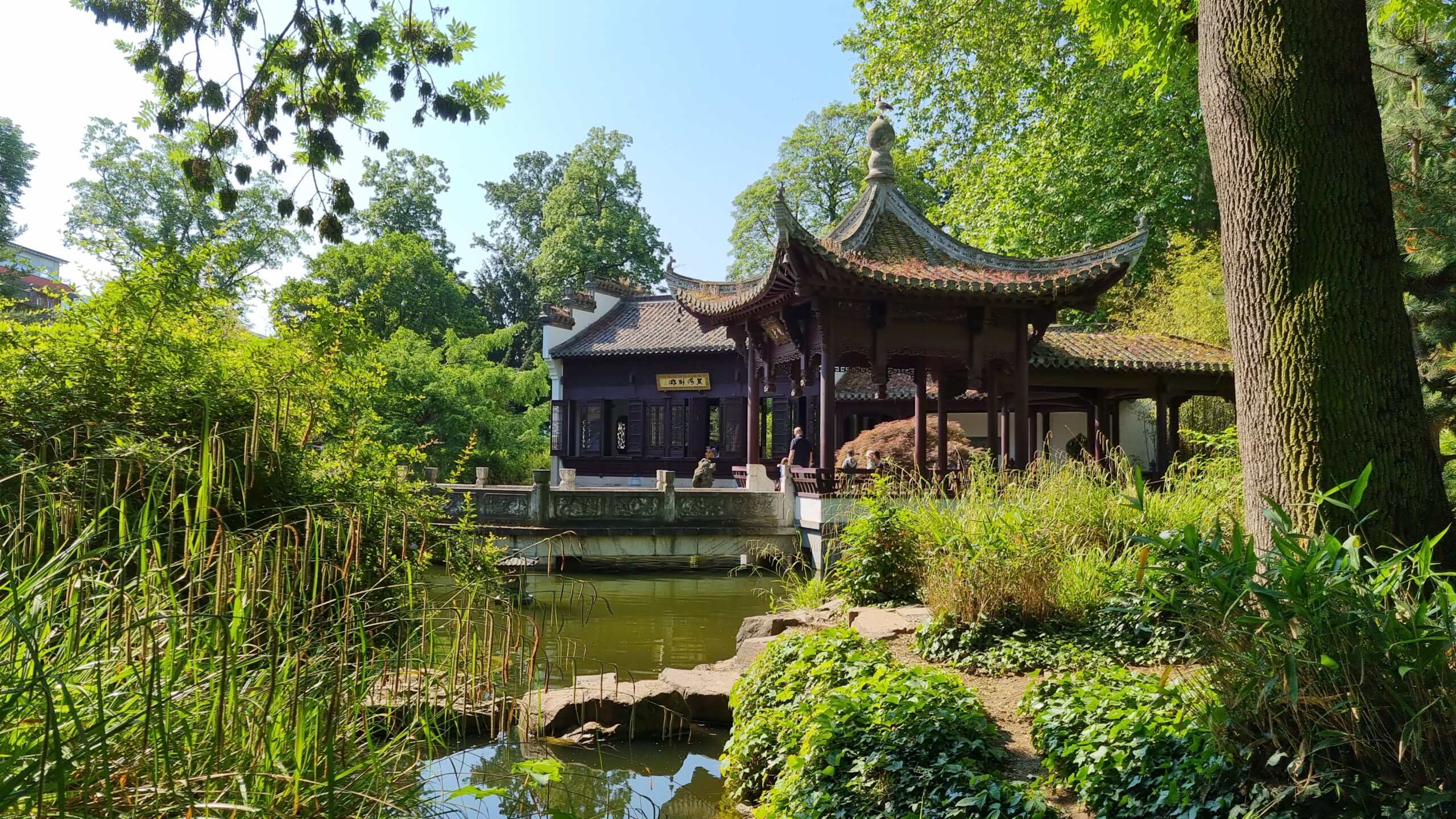 Blog – Bethmanpark